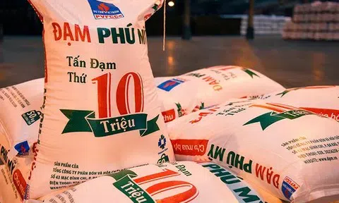 Đạm Phú Mỹ (DPM) sắp khuấy đảo thị trường: Tung ra hơn 288 triệu cổ phiếu, ước đạt hơn 2.800 tỷ đồng