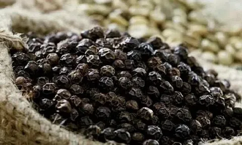Những điều cần lưu ý cho doanh nghiệp khi xuất khẩu hàng hóa sang Ba Lan