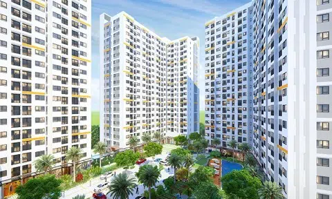 Bất động sản khu Tây TP.HCM: Nơi “trú ẩn” an toàn cho dòng vốn 2025