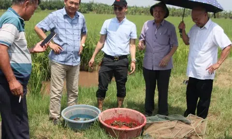Nâng tầm giá trị nông sản và dược liệu bằng công nghệ cao