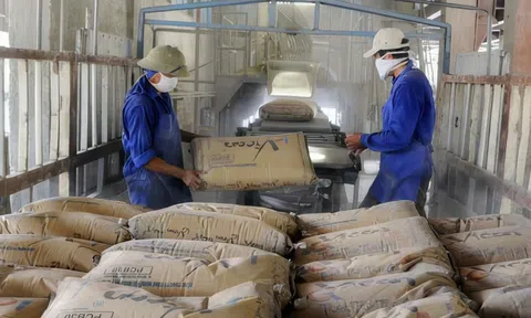 Xi măng và clinker của Việt Nam bị Đài Loan (Trung Quốc) áp thuế CBPG