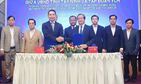 Tây Ninh thúc đẩy hợp tác đầu tư với Nhật Bản sau sát nhập