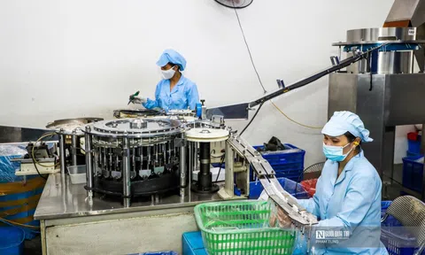 174.000 doanh nghiệp gia nhập thị trường trong 7 tháng đầu năm 2025