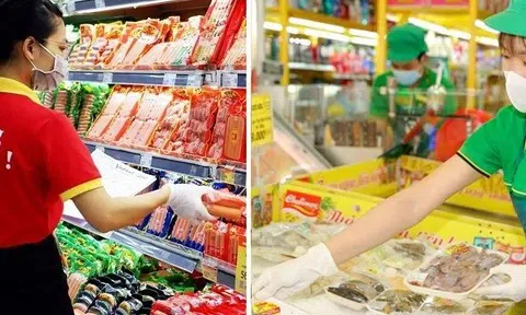 Bách Hóa Xanh – WinCommerce: Tăng tốc trên đường đua lợi nhuận và mở rộng