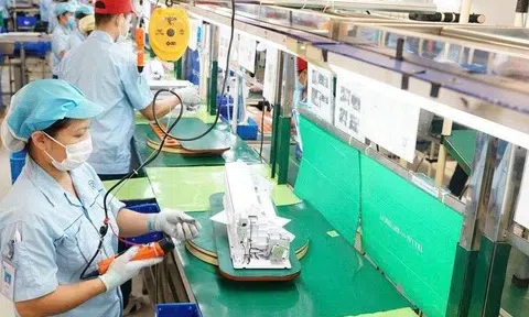 Doanh nghiệp thành lập mới trong tháng 7 giảm cả về lượng và vốn