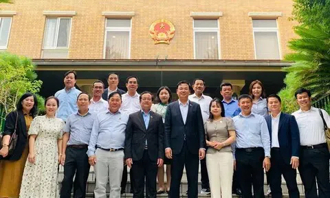 Tây Ninh tăng tốc hội nhập quốc tế: Thành công từ xúc tiến đầu tư tại Nhật Bản