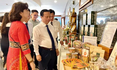 Nông sản Gia Lai rộng đường xuất khẩu chính ngạch sang Trung Quốc