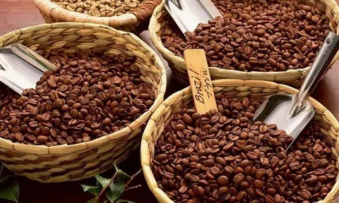 Giá cà phê hôm nay 24/8/2025: Trong nước giữ đỉnh 124.00 đồng/ kg