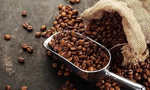 Giá cà phê hôm nay 29/8/2025: Cao nhất gần 124.000 đồng/kg