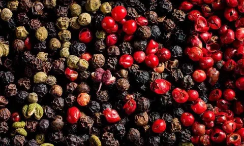Giá tiêu hôm nay 29/8/2025: Cao nhất 152.000 đồng/kg
