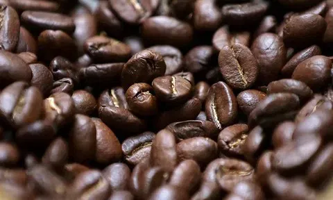 Giá cà phê hôm nay 30/8/2025: Giảm mạnh tại Tây Nguyên, Arabica tiếp tục đi xuống