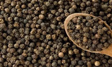 Giá tiêu hôm nay 30/8/2025: Tăng mạnh lên 152.300 đồng/kg, xuất khẩu sang Mỹ kỳ vọng phục hồi