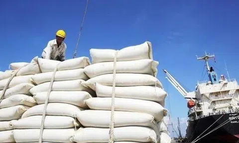 Hải Phòng ra thông báo sau khi Philippines tạm dừng nhập khẩu gạo