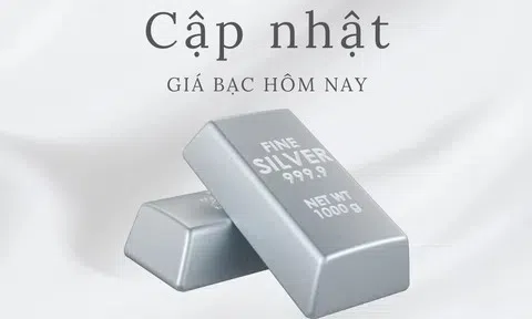 Giá bạc hôm nay 12/9/2025: Biến động trái chiều trong nước và thế giới