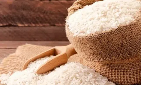 Giá lúa gạo hôm nay 16/9/2025: Nội địa tăng nhẹ, xuất khẩu gặp thử thách