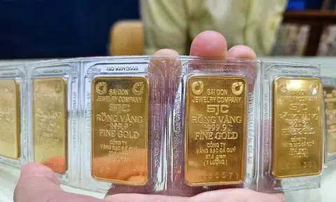 Giá vàng SJC tiếp tục tăng
