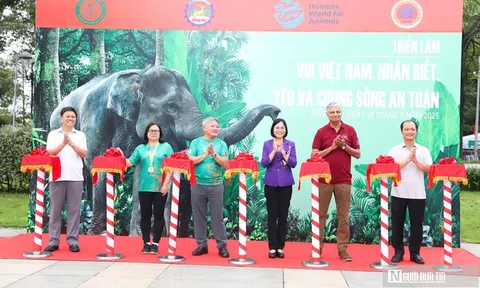 Gần 500 người tham gia "Nhảy vì sự tử tế với loài voi và các loài động vật hoang dã"