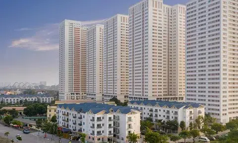 Thu nhập khó “đuổi kịp” giá nhà đô thị