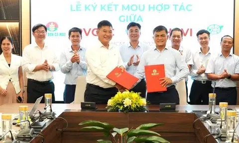 PVCFC và CHAVI cùng đồng hành kiến tạo giá trị mới cho nông nghiệp Việt