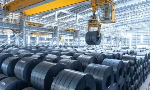 2 mặt hàng Việt Nam bị Ấn Độ khởi xướng điều tra chống bán phá giá