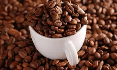 Giá cà phê hôm nay 10/10/2025: Quay đầu tăng 1.000 đồng/kg