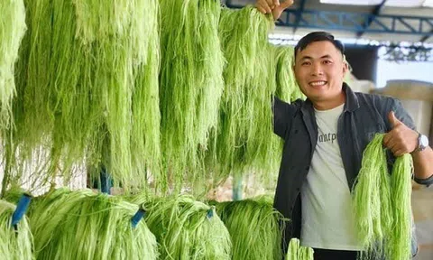 Gỡ bỏ sợi dây níu chân start-up Việt