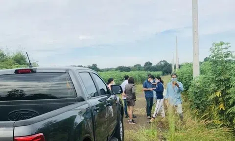 Đất nền “lép vế” trước chung cư, tiêu thụ nhỏ giọt