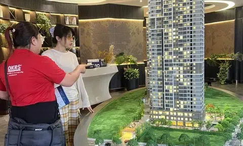 Giá căn hộ sơ cấp TP.HCM tiếp tục tăng, cán mốc trung bình gần 90 triệu đồng mỗi m2
