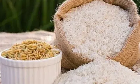 Giá lúa gạo hôm nay 17/10/2025: Thị trường trong nước ổn định, xuất khẩu gặp khó khăn