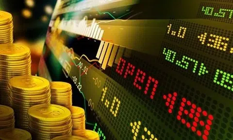 PGS.TS. Ngô Trí Long: “Sàn vàng là thuốc thử cần thiết”
