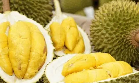 Giá sầu riêng hôm nay 20/10/2025: Thị trường ổn định