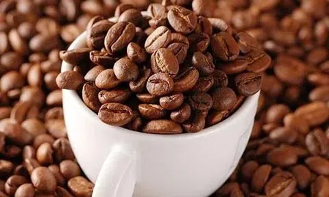 Giá cà phê hôm nay 22/10/2025: Cao nhất 116.000 đồng/kg