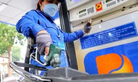 Giá xăng dầu hôm nay 22/10: Giá dầu thế giới phục hồi nhẹ, trong nước giữ ổn định