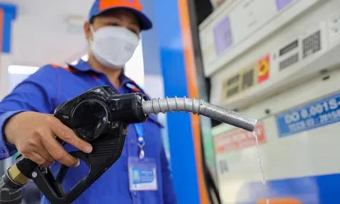 Giá xăng dầu hôm nay 24/10: Thế giới tăng mạnh 5%, trong nước giảm nhẹ
