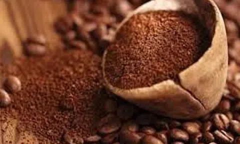Giá cà phê hôm nay 27/10/2025: Giá cà phê trong nước cao nhất 116.500 đồng/kg