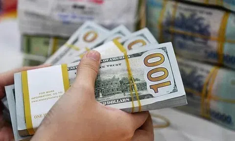 Tỷ giá USD hôm nay 28/10/2025: Thế giới và trong nước biến động ra sao?