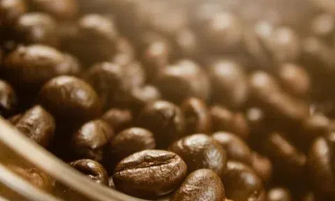 Giá cà phê hôm nay 30/10/2025: Giá cà phê và hồ tiêu đồng loạt tăng