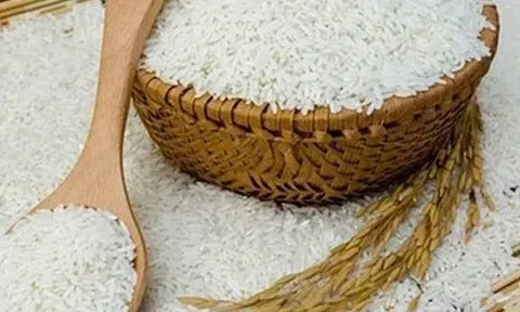 Giá lúa gạo hôm nay 30/10/2025: Giá lúa gạo trong nước ổn định, xuất khẩu biến động trái chiều