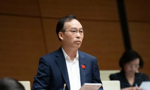 Cần xây dựng ứng dụng để người dân phản ánh tình trạng cây xanh ven đường