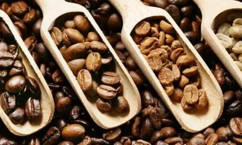 Giá cà phê hôm nay 31/10/2025: Lâm Đồng vượt ngưỡng 116.700 đồng/kg, thị trường bùng nổ