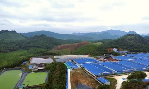 Dừng hoạt động trại lợn gây ô nhiễm ở Thanh Hoá từ năm 2026