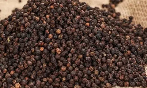 Giá tiêu hôm nay 29/10/2025: Ổn định sau phiên tăng mạnh đầu tuần