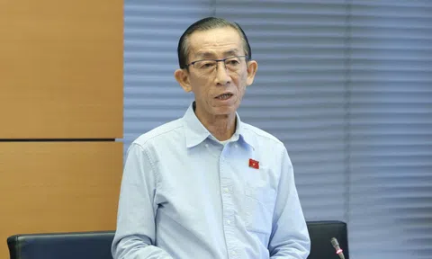 ĐBQH: Phá sản là đường cùng, sao bắt doanh nghiệp lo chi phí phá sản?