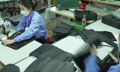 Nâng cao năng lực phòng vệ thương mại cho ngành da giày Việt Nam