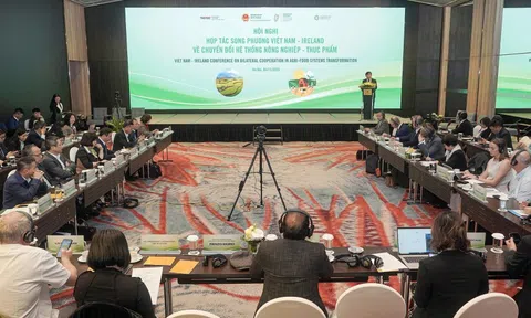 Việt Nam - Ireland tăng cường hợp tác chuyển đổi hệ thống nông nghiệp và thực phẩm