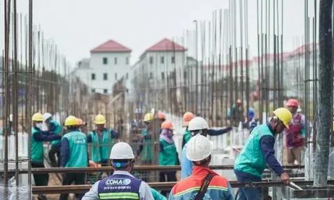 Hơn 2.000 công nhân và máy móc thi công xuyên ngày đêm tại dự án Aqua City của Novaland