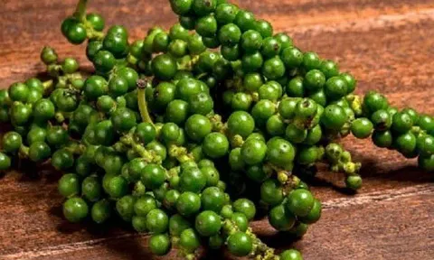 Giá tiêu hôm nay 6/11/2025: Hồ tiêu lặng sóng