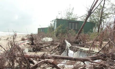 Hà Tĩnh: Cần nhanh chóng khắc phục “lá chắn xanh” phòng hộ ven biển