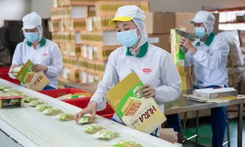 Tập đoàn hàng tiêu dùng của Indonesia mua lại Bibica