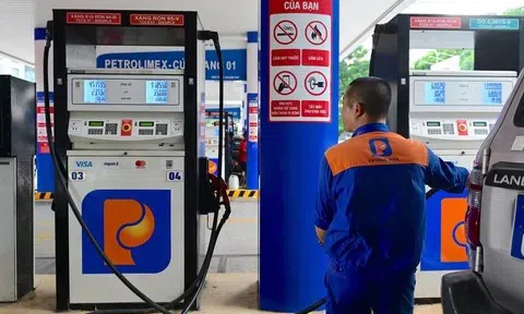 Giá xăng dầu hôm nay 7/11: Cập nhật chi tiết giá thế giới và trong nước